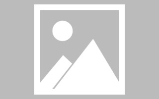 宿州搭建网站招聘信息（网站制作 招聘）